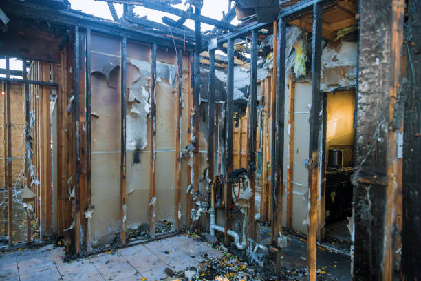 Professional Fire Damage Removal technician working in Owatonna, MN